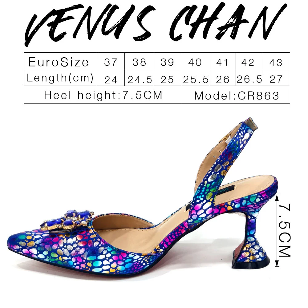 Venus Chan 2024 Newest INS Style Blue Colour Elegant High Heels Nigeria Popular Design African Ladies Shoes And Bag Set