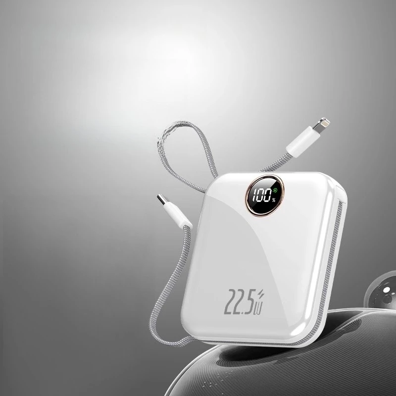 10000mAh Power Bank with Built-in Dual-line Fast Charging Function