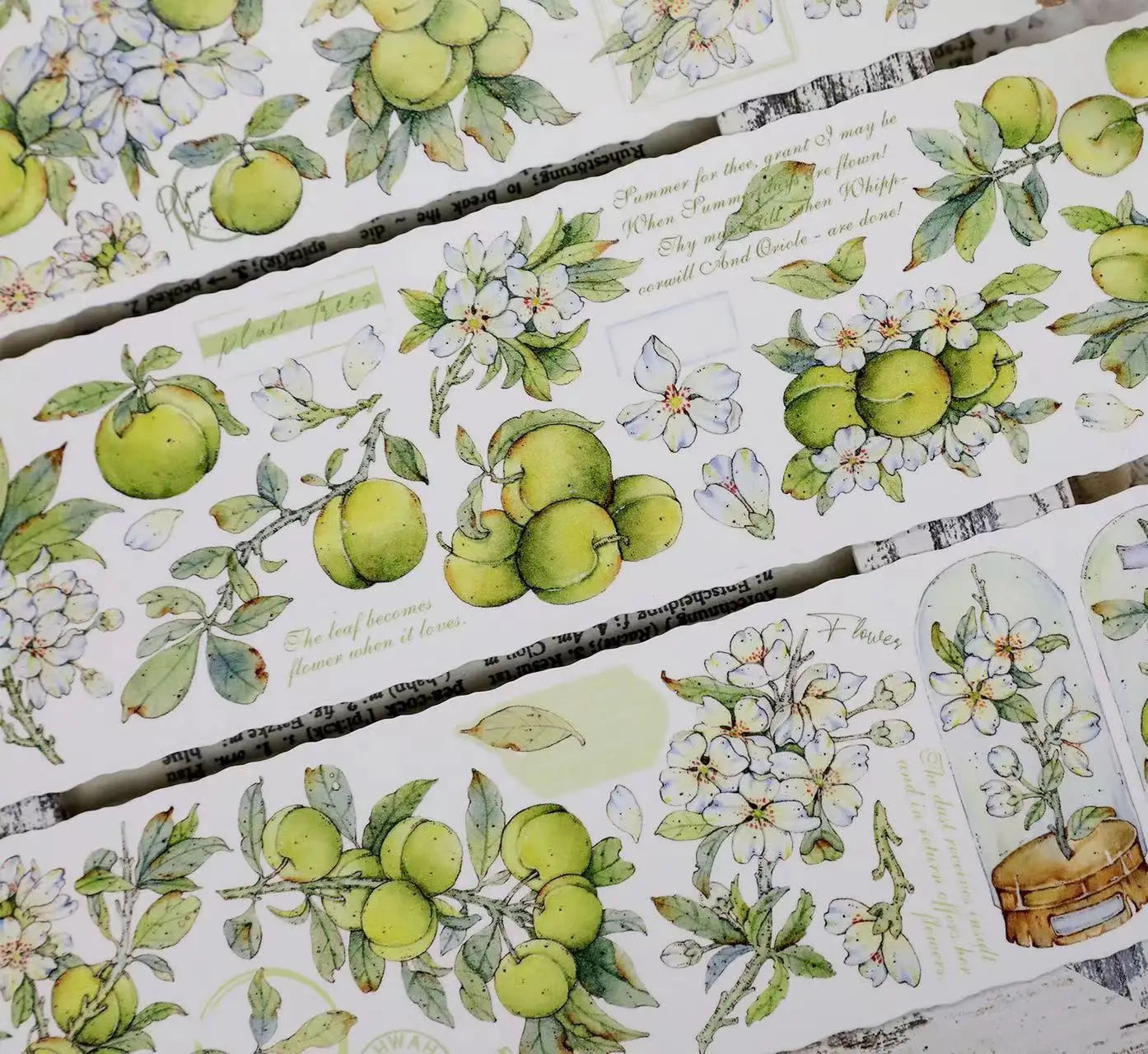 Vintage Green Plum White Floral Washi PET Tape for Card Making Decoration DIY Scrapbooking Plan Stickers