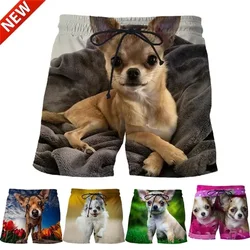 Full Print Animal Dog Pattern Beach Ice Shorts For Men Casual Chihuahua Board Shorts Summer Oversized Mens Swimming Surf Jams