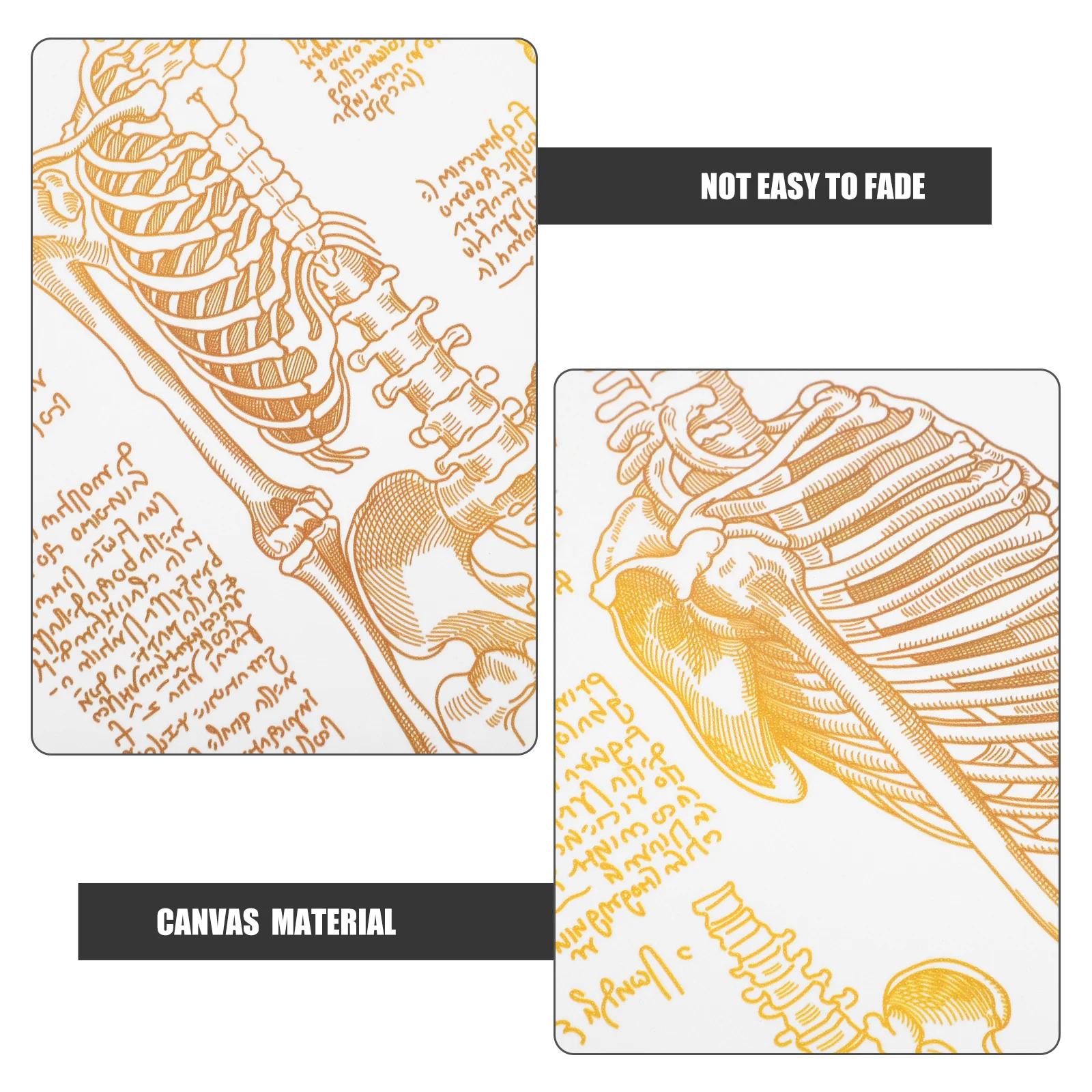 Small Hospital Wall Decor Poster Decorative Painting/hanging Picture Body Canvas Nurse