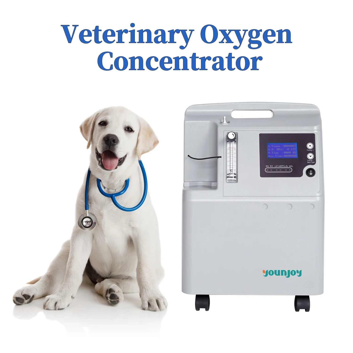 High Quality Veterinary Equipment Medical Hospital Anesthesia Machine Oxygen Concentrator 5L for Animal Pet Surgery