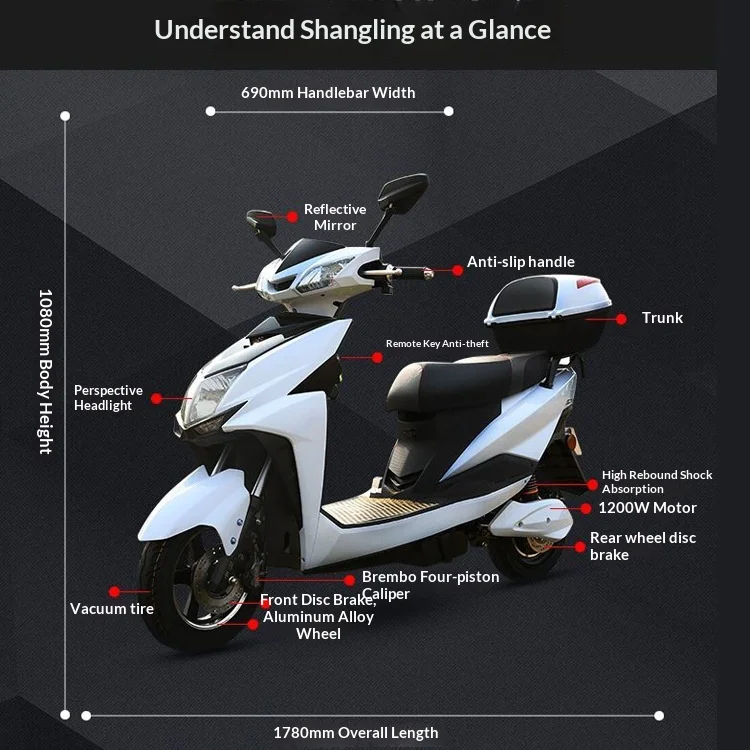 Two Wheels High Quality Electric Bicycle 800W Motor  High Speed Adult Affordable Electric Vehicle