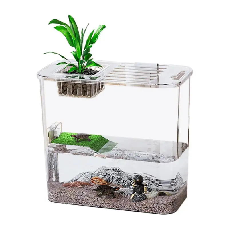 

Small Turtle Tank Creative Turtle And Fish Terrarium Clear Tanks For Raising Turtles Fish Tanks For Raising Turtles Water And