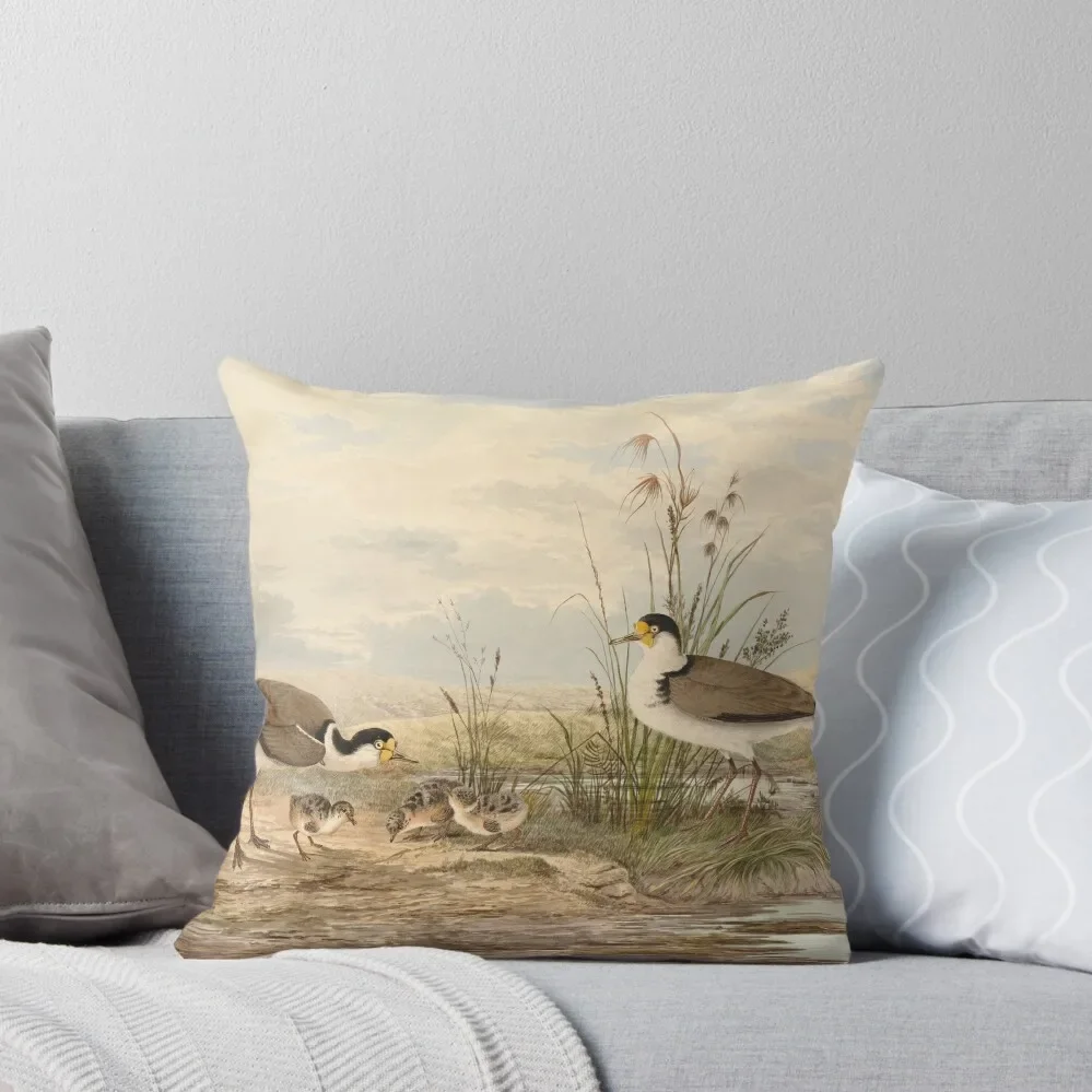 

Neville HP Cayley Masked Lapwing, Vanellus miles Throw Pillow Pillow Decor Luxury Cushion Cover pillow