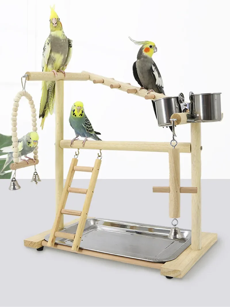 Parrot Playstand Bird Plays Stand Cockatiel Playground Wooden Perch Gym Playground Ladder Plate Bird Toy with Metal Feeder