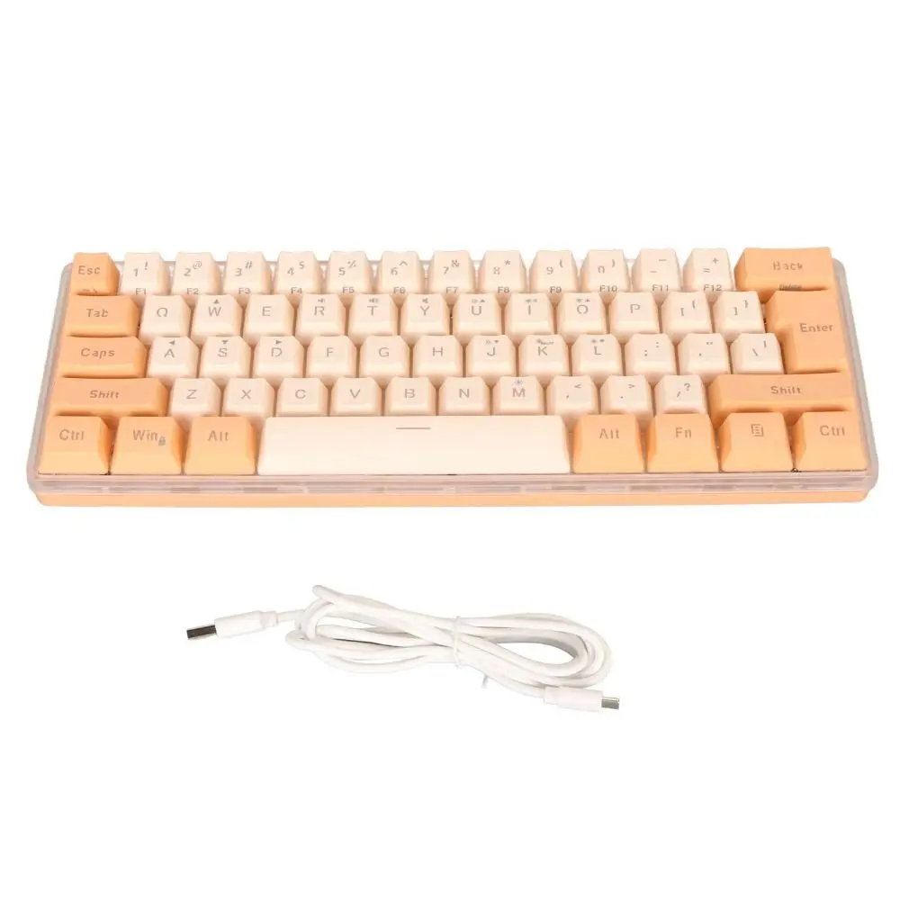 

61 Keys 60% Wired Gaming Keyboard USB Wired 8 Backlight Effects RGB Mini Keyboard Plug and Play Compact Keyboard
