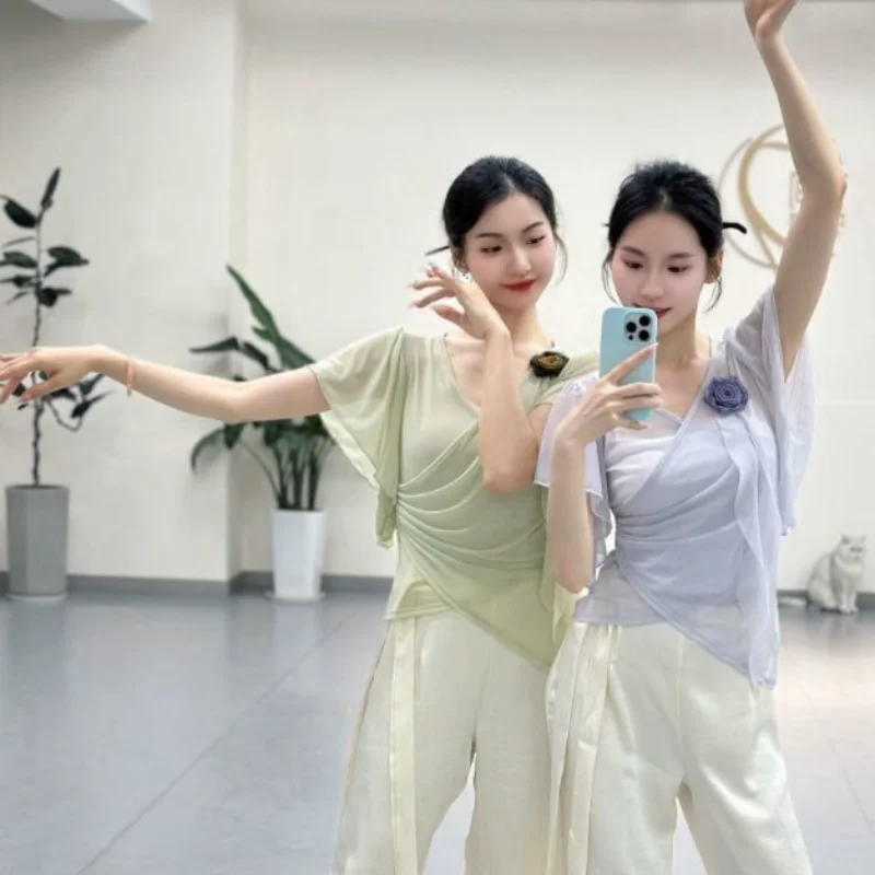 Elegant Floral Net Dance Costume Women's Classic Dance Performance Outfit Body Training Uniform Fairy Atmosphere Stage Costume