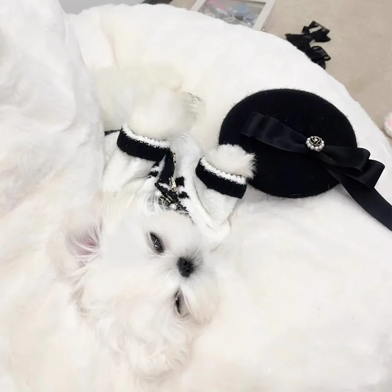 Picture 3: Solid Gray Color Warm Fluffy Woolen Windproof Cute Ball Knitted Dog Hat Pet Headgear
