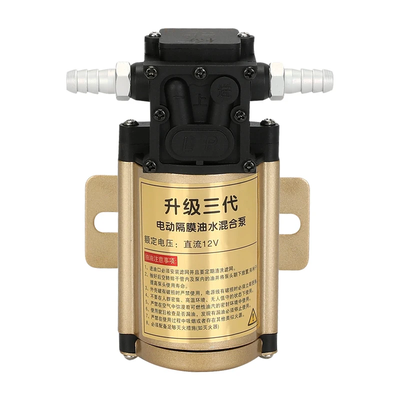 5L/min 12V DC Petrol Gasoline Pump Fuel Transfer Pumps For Gasoline Diesel Oil Water 12 Volt 24 V Industrial Grade