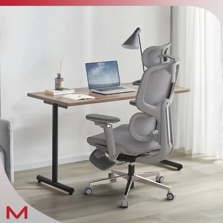 

D2 Pro High Back Ergonomic Home Office Chair With DTS SelfAdaptive Lumbar Support MultiAdjustable Armrest Wire Controlled Desig