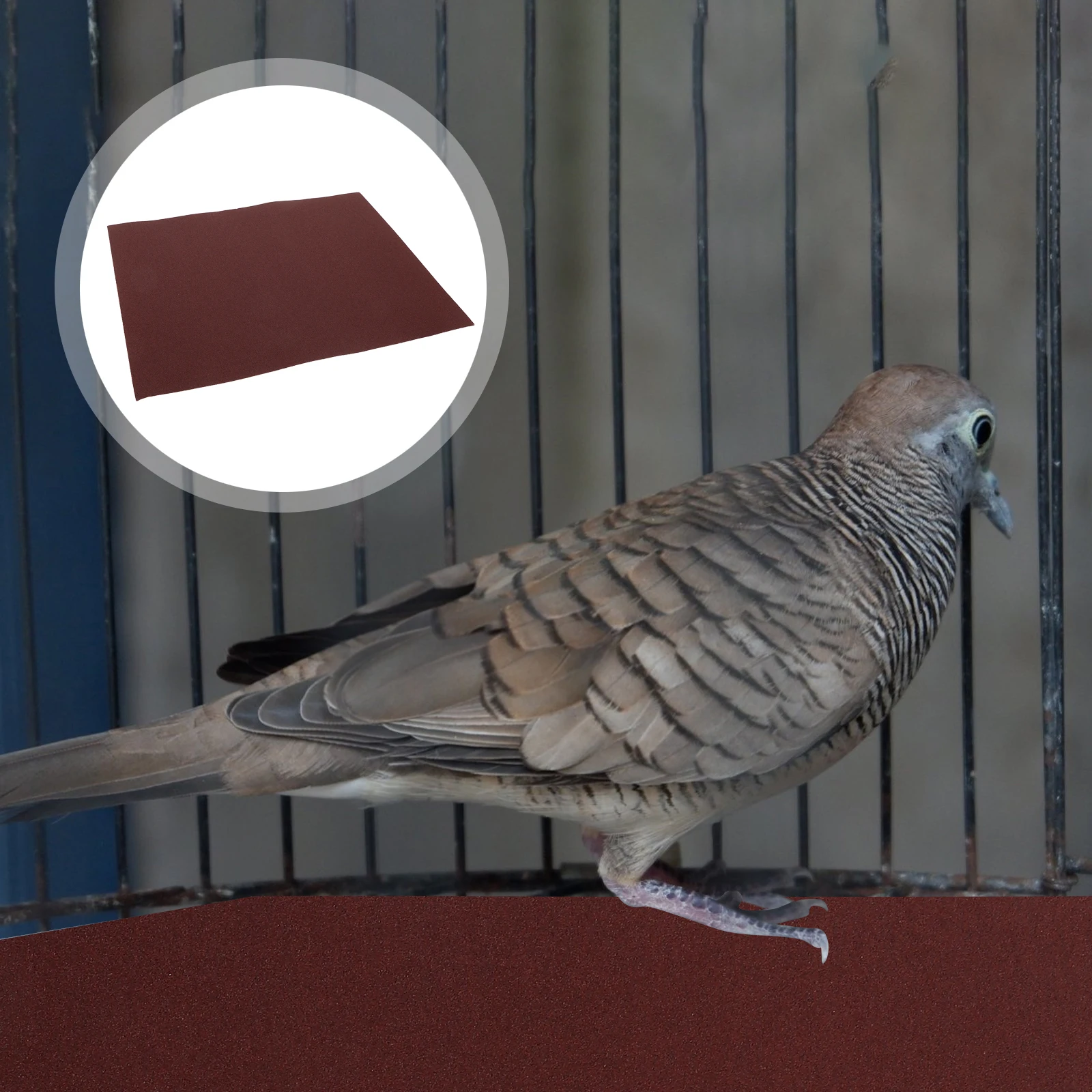 

20pcs Pet Bird Claw Grinding Sandpaper Sheets Sea Sand Surface Durable For Universal Bird Cage Liner Brown Easy Install No Noise