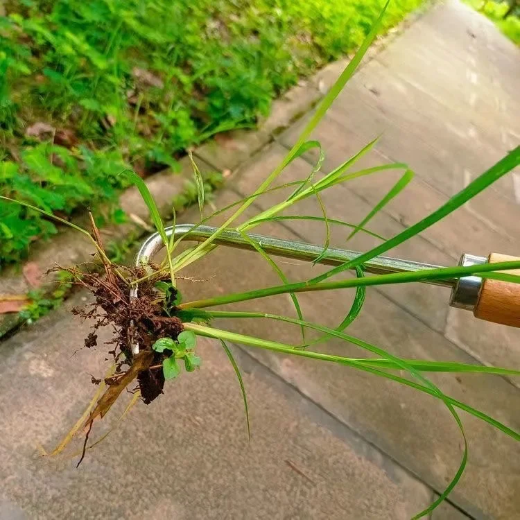 Manuelles Unkrautmaschinen-Set: Maaier Sichel + Straßenriss-Unkrautwerkzeug + Garten-Handschaufel – robuster Kohlenstoffstahl für den Außenbereich und – Detail 9