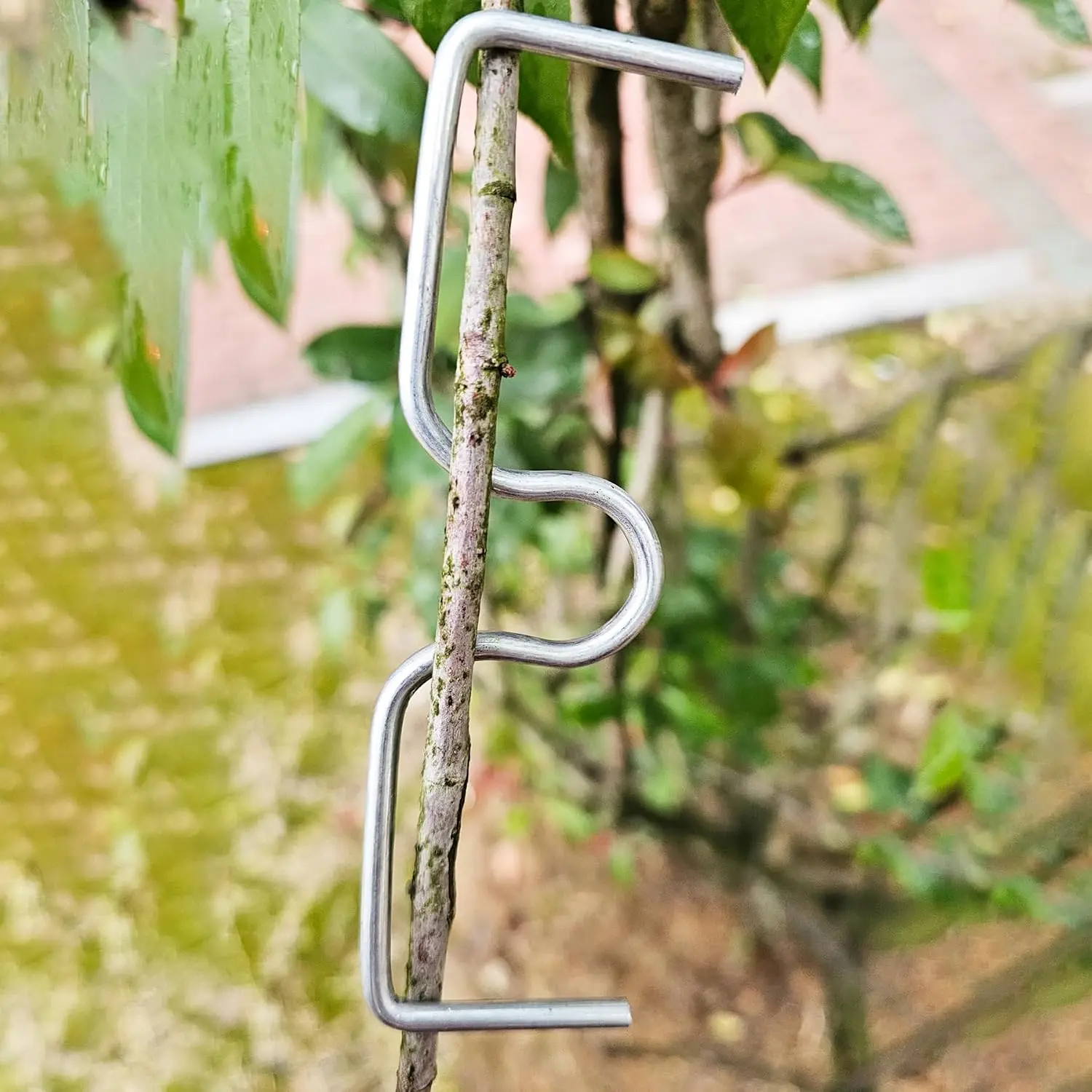 10 Pieces of Fruit Tree Branch Bending Machine Shaper M-shaped Plant Branch Paver Manual Garden Branch Training Tool