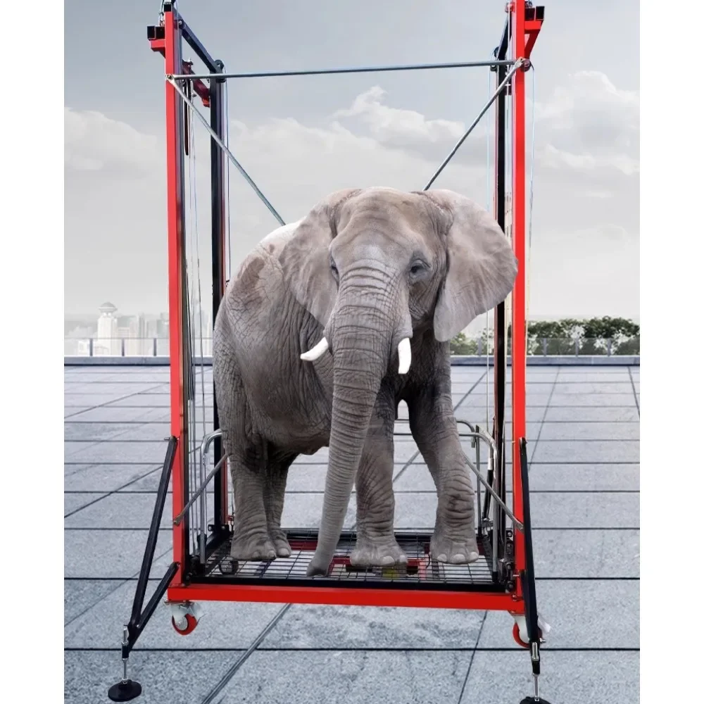 Movable foldable electric lifting scaffold remote control hoist