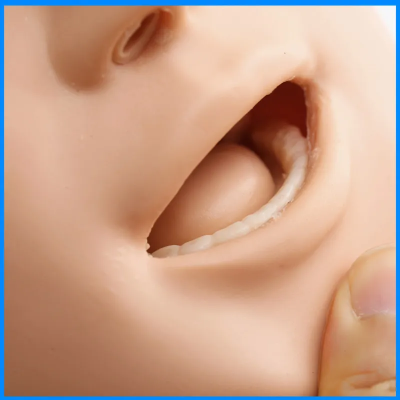 Nursing Model Multifunctional Simulation Catheterization Injection Injection Infusion Cardiac Resuscitation Medical Training Hum
