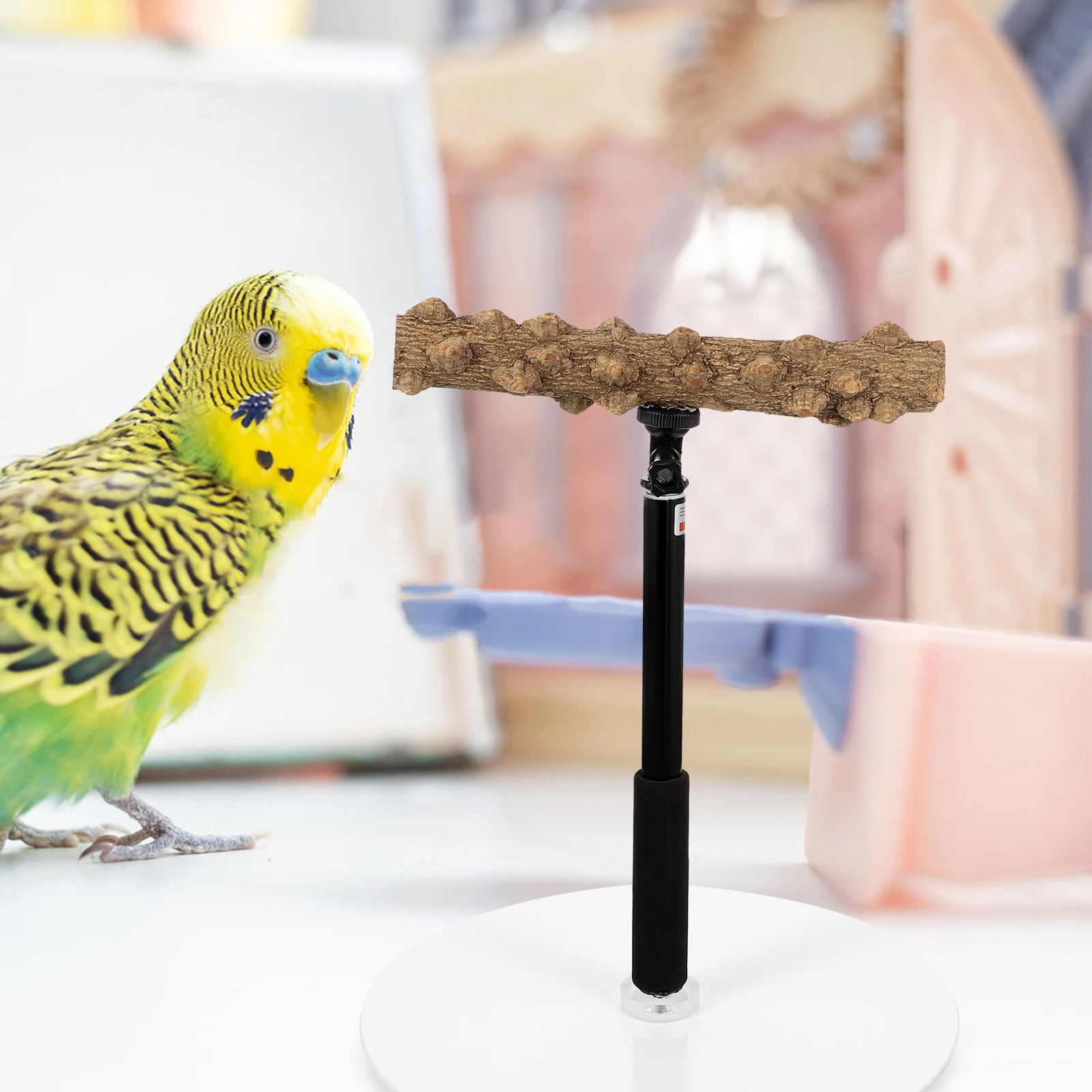 

Adjustable Height Bird Perch St Natural Wood Metal Parrot Tree Branch Pet Toy Easy Clean Durable Cage Accessories