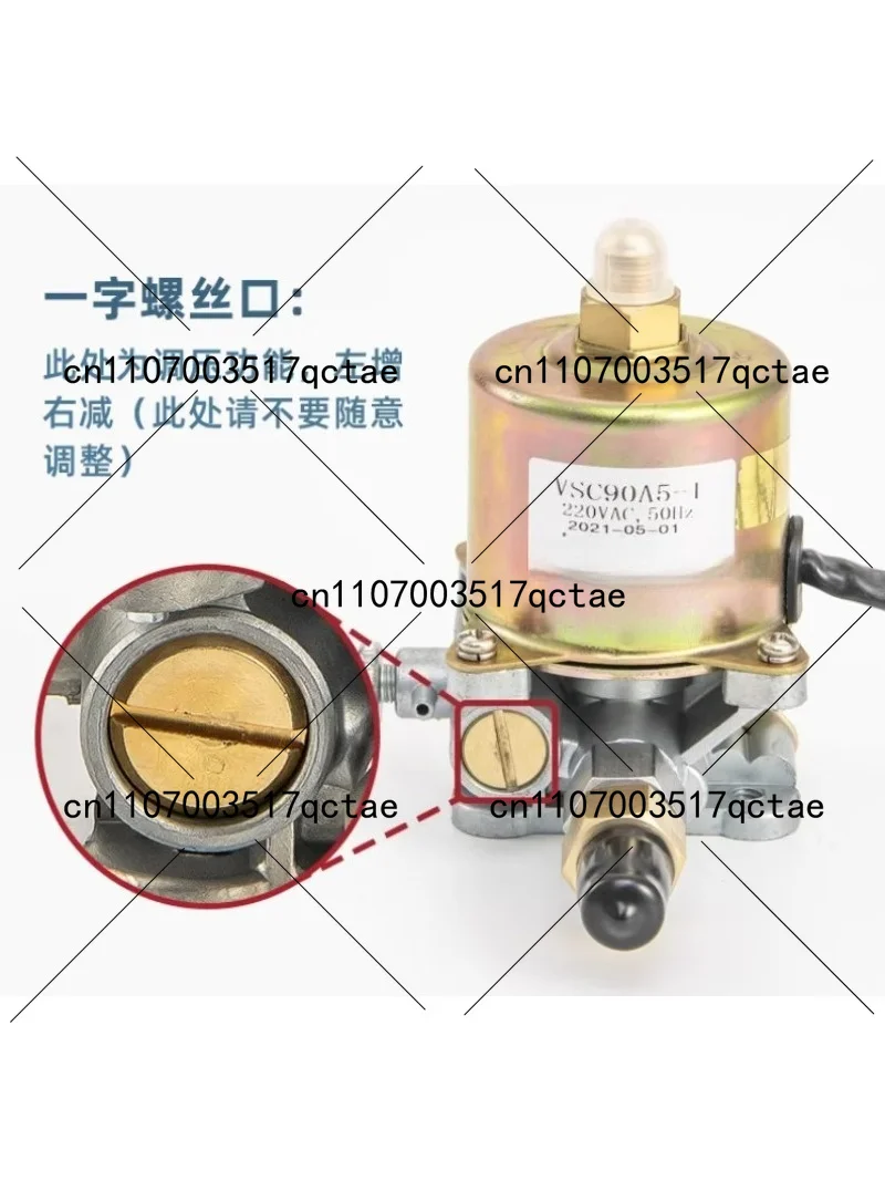220V Waste Oil Burner Electromagnetic Pump, Diesel Stove Oil Pump for Heating System