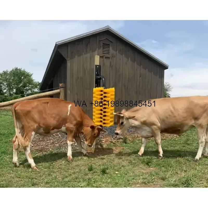 Wmwmnu for High Quality Custom PP Material Full Automatic Cleaning Cattle Body Antipruritic Cow Brush with Motor for Cattle
