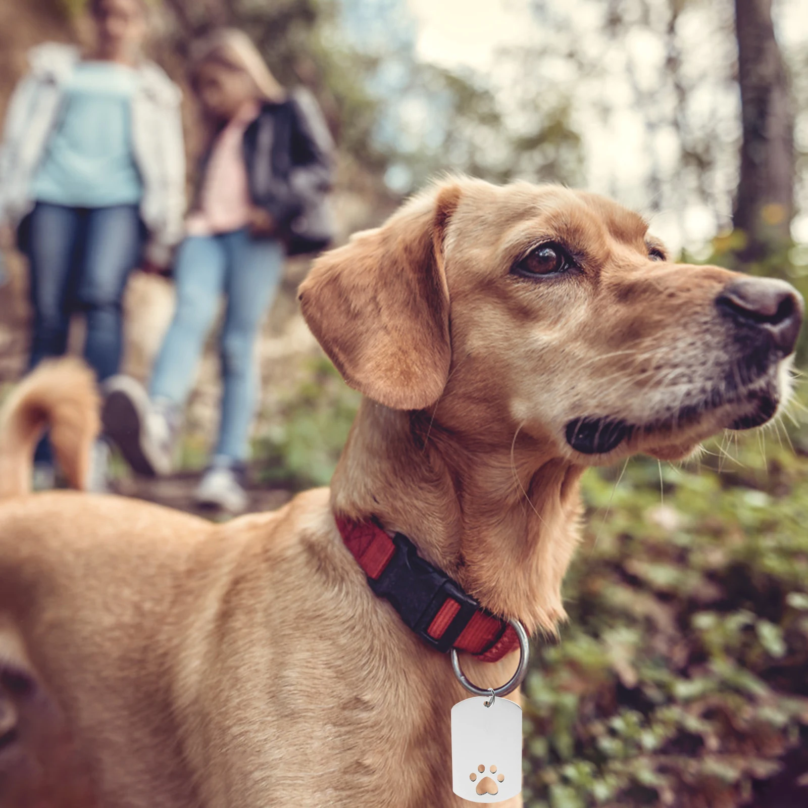 

4Pcs Metal Dog Tags Stainless Steel Dog Paw Personalized Puppy Id Tags Pet Collar Name Plate Custom Engraved Tag