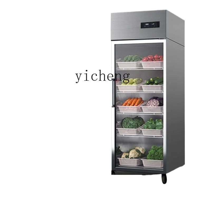 Tqh Freeze Storage Display Cabinet Vertical Industrial Refrigerator Double Door Three Door Fresh Cabinet