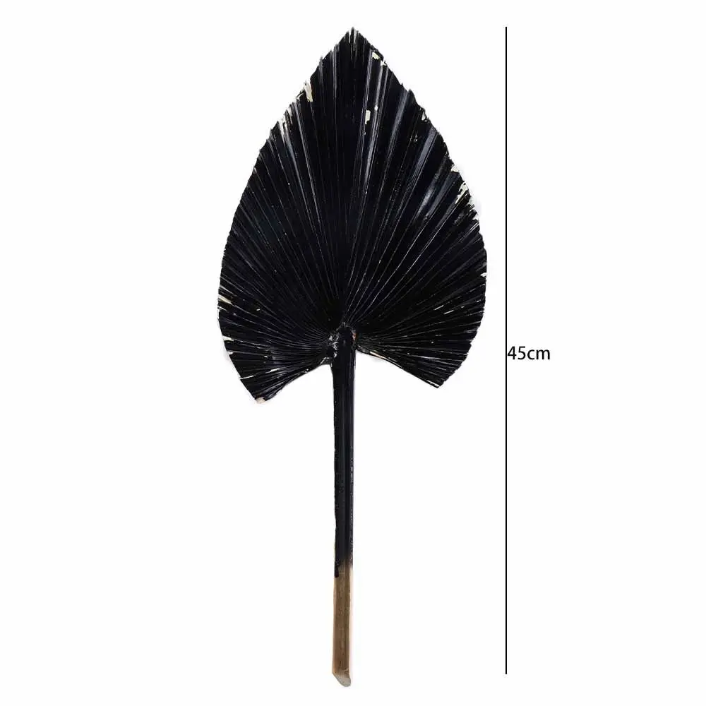 1 Pcs Bohemian Tropical Fan Leaf Colorful Palm Spears Dried Plant DIY Natural Trimmed Party Decoration Leaves