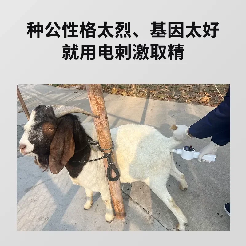 for Veterinary Electrical Stimulation Sperm Extractor for Pig Cattle Horse Sheep Dog Artificial Breeding Insemination