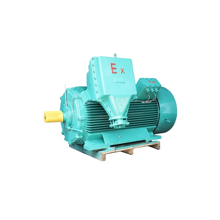 Three Phase Explosion Proof Motor 710kw  Electro Motor Explosion Proof Induction Motor