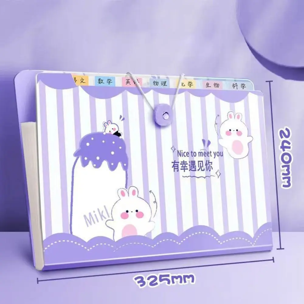 Cartoon Waterproof A4 File Folder Large Capacity 8/13 Pockets Test Paper Storage Folder PP File Organizer