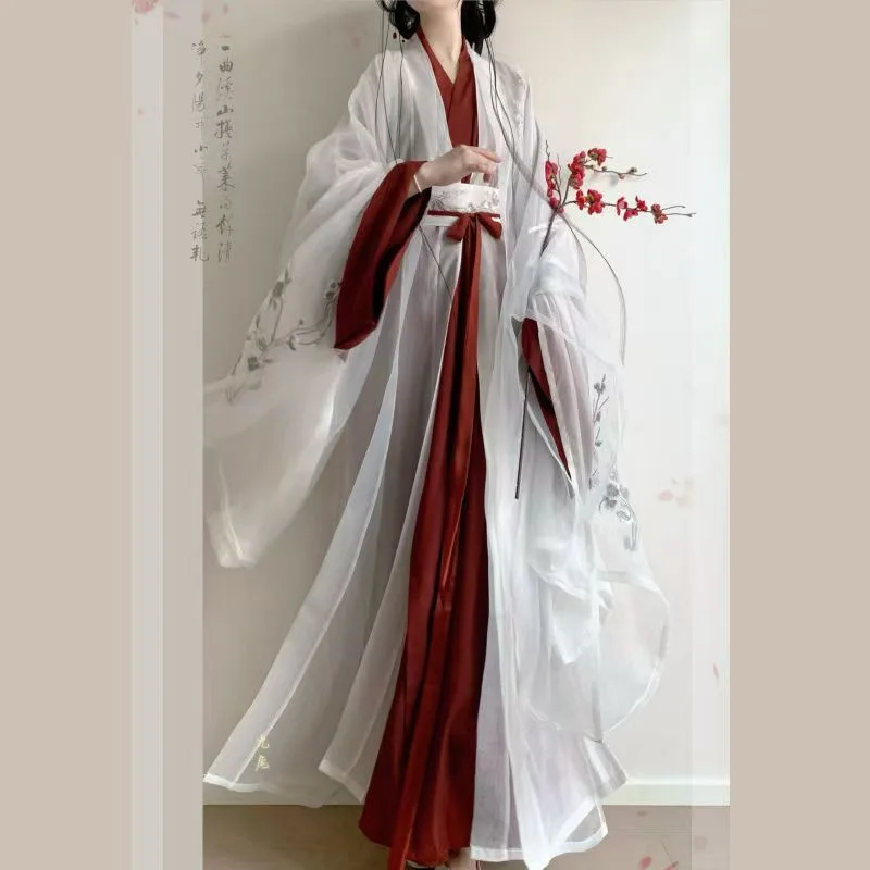 Wei and Style Embroidered Han Chinese Clothing Big Sleeve Straight Double Layer Super Cold Wind Daily