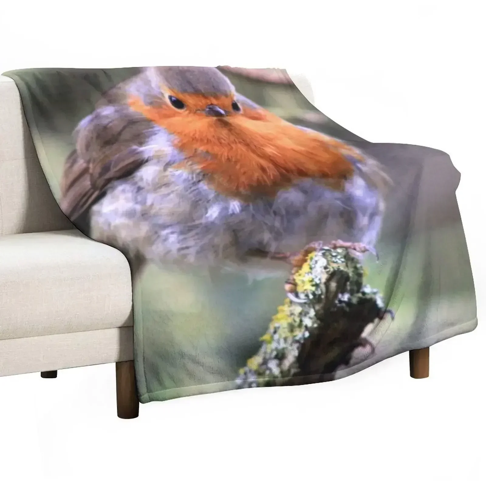 Robin Watching Me Throw Blanket Loose sofa bed Plush Designers bed plaid christmas decoration Blankets