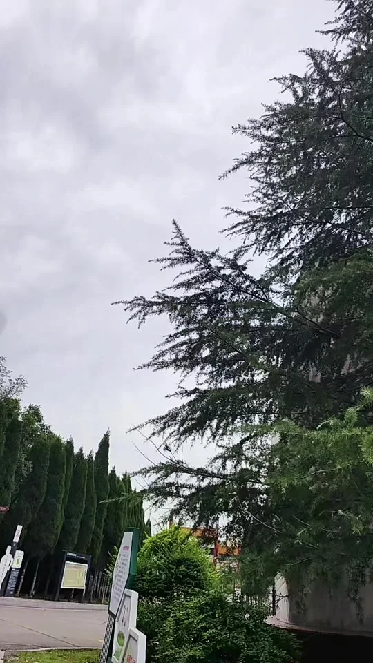 

12/14/17MM Adapter for ARRMA Mojave 4S RC Truck, 1/8 Scale Model Car Tires W219, Arrma HSP HPI Model TruckUpgrade Parts