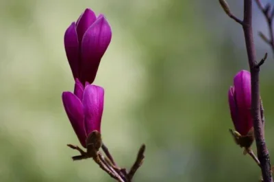 

1/10 Off Road Vehicle 2WD Side Bumper for Tamiya BBX BB-01/BB01 Aluminum Alloy Upgraded Parts