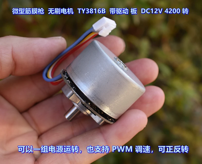 مسدس وتر غشائي محرك بدون فرشاة TY3816B Micro DC12V يدعم التحكم في سرعة PWM للدوران الأمامي والخلفي #4