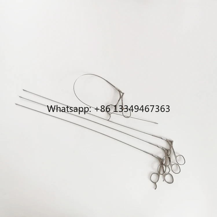 

Manufacturer Forceps Education Factory