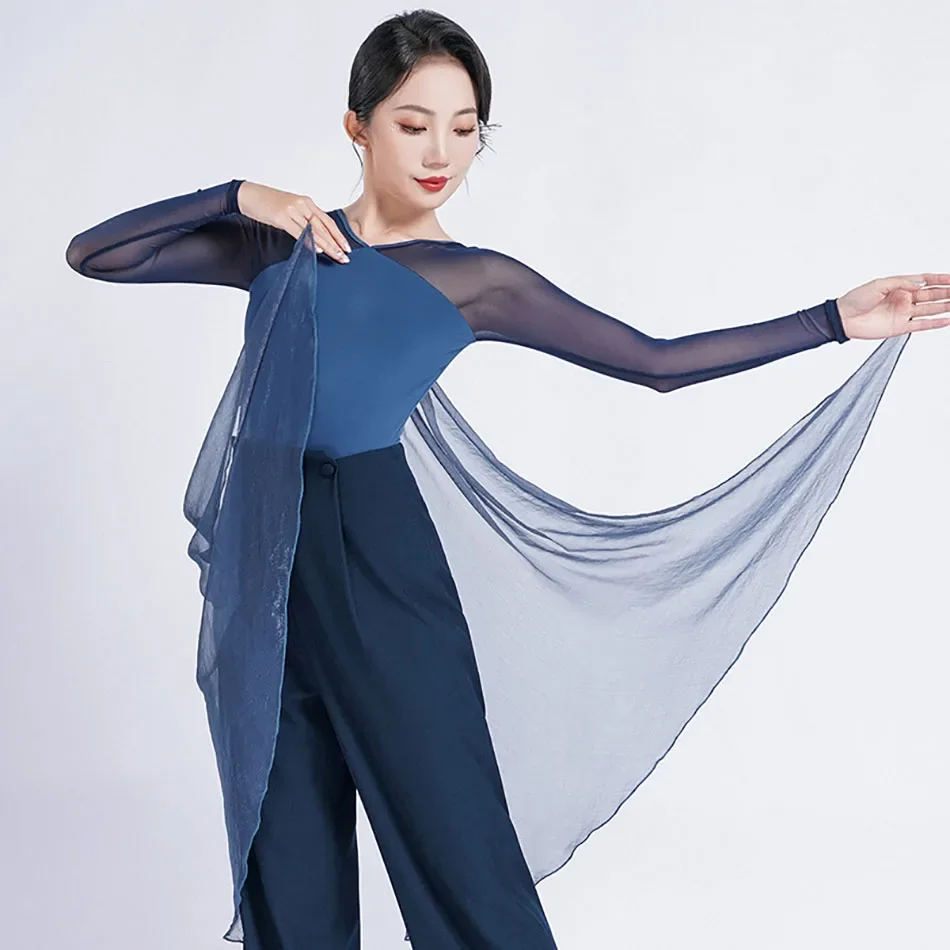 

2024 Female Mesh Long Sleeve Bodysuit V-Neck Autumn Stage Performance Clothes Cha Cha Samba Ballroom Dance Wear F1183
