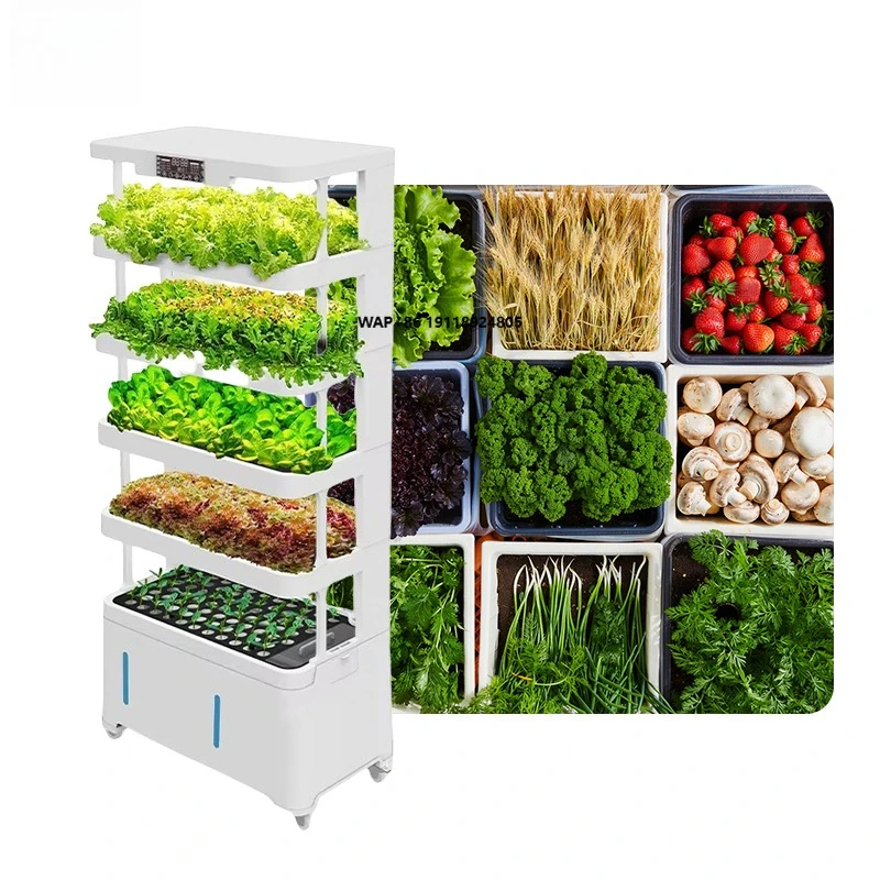 

Reenhouse Equipment Intelligent Vertical System Aeroponic Hydroponic Tower Planting Box for Agricultural