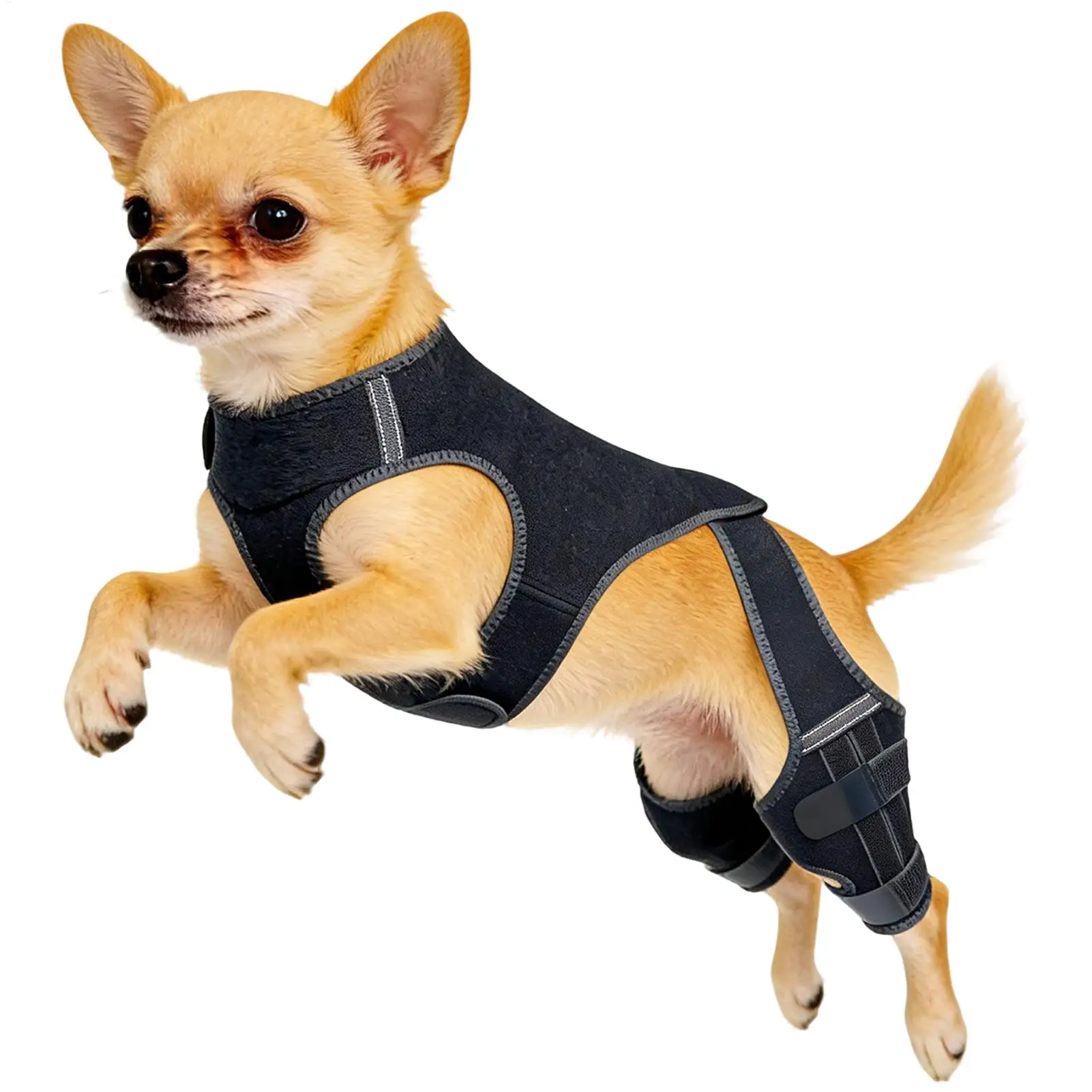 Dog Knee Braces dog leg brace for torn acl arthrosis support for dogs elbow hygroma protector Breatheable Fabric Stable Velcro