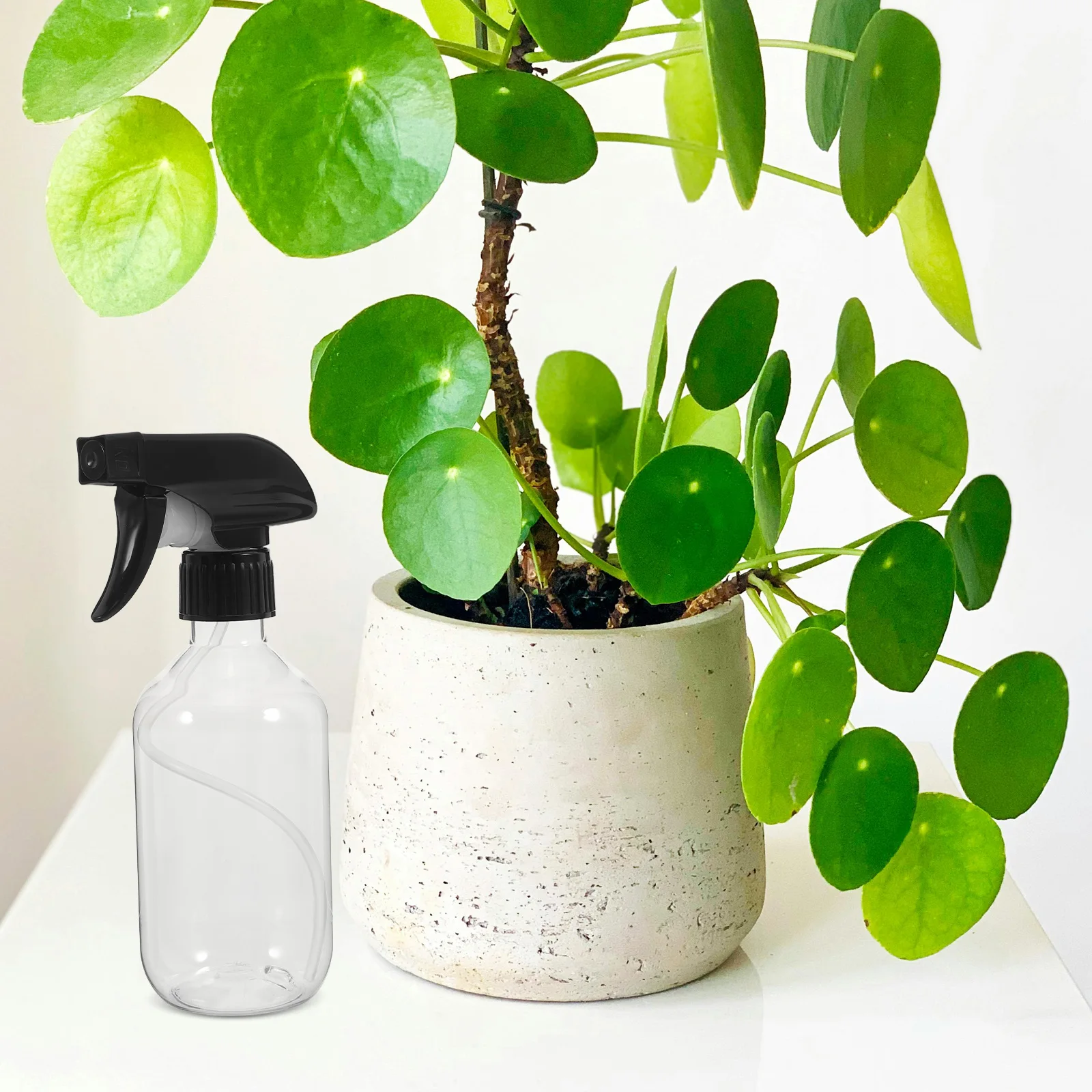 

2 Pcs Clear Spray Bottle Fine Mist Sprayer Bottles The Pet Mister Atomizer Hair
