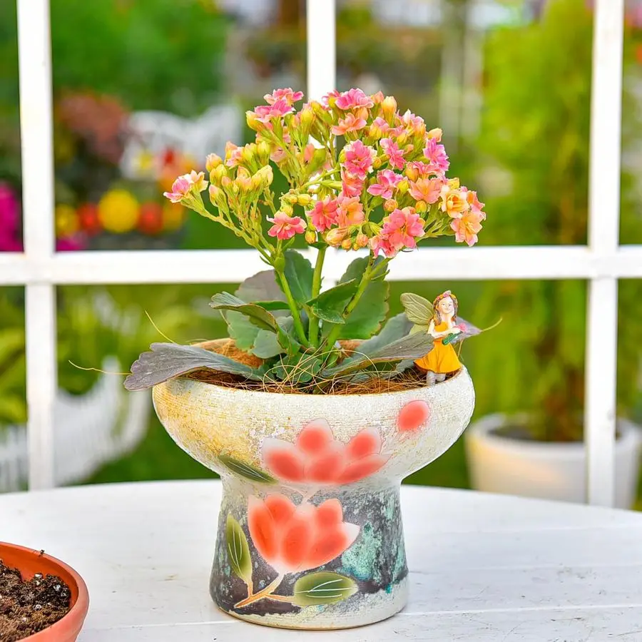 

7.5 Inch Large Succulent Plant Pots, Pretty Hand Painted Ceramic Planter with Drainage, Indoor Outdoor Cactus Planter Bonsai Pot