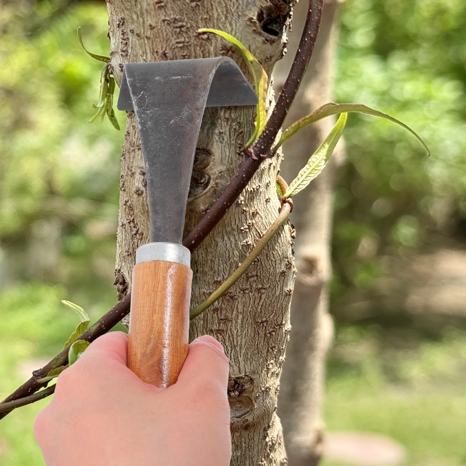 

Bark Scraper Tool for Stripping on Trees Removal Fold Small Remover Wood Hand Man