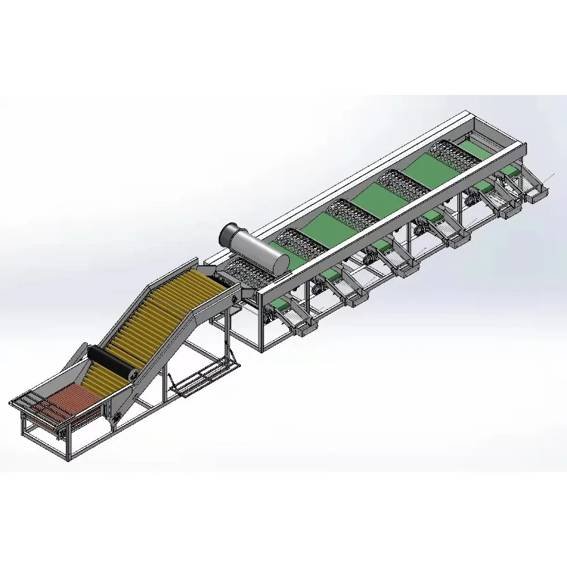 Fruit Sorting Line Industrial Automatic Fruit Grading Machine With Roller Feeding Elevator Conveyor Customized