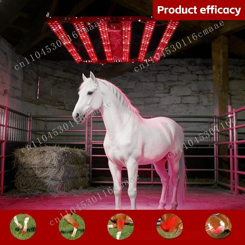 Stables Stables Red Light Blue Light Indoor Physiotherapy Muscle Relaxation Remote Control Timing Adjustable
