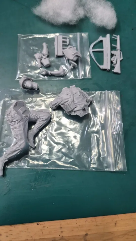 Buyer photo of this resin kit