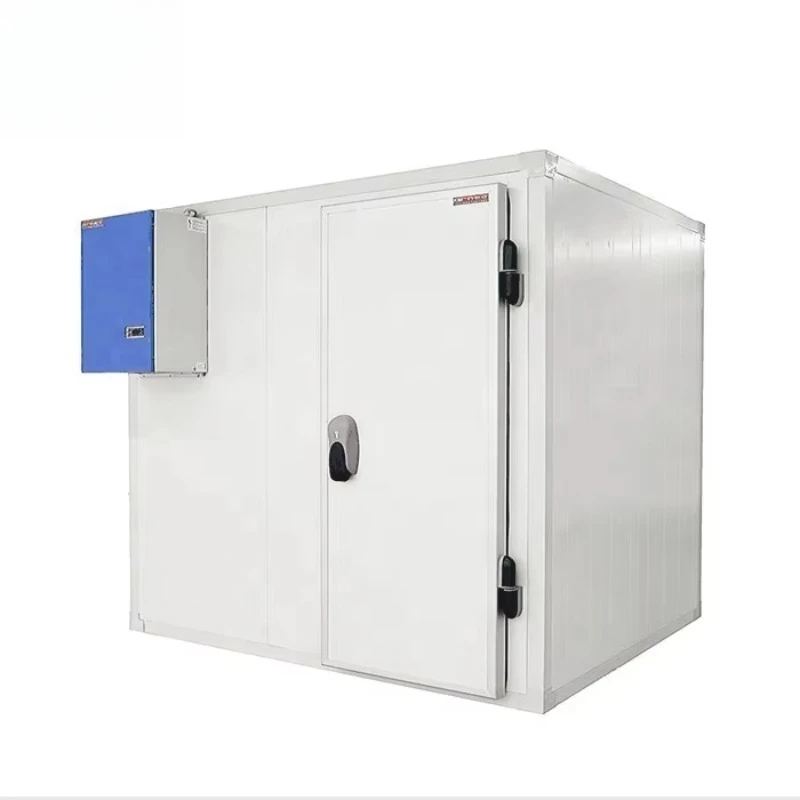 Customized Mobile Container Cold Storage With PU Insulation Panels Double Door Dual Positive Negative Temperature
