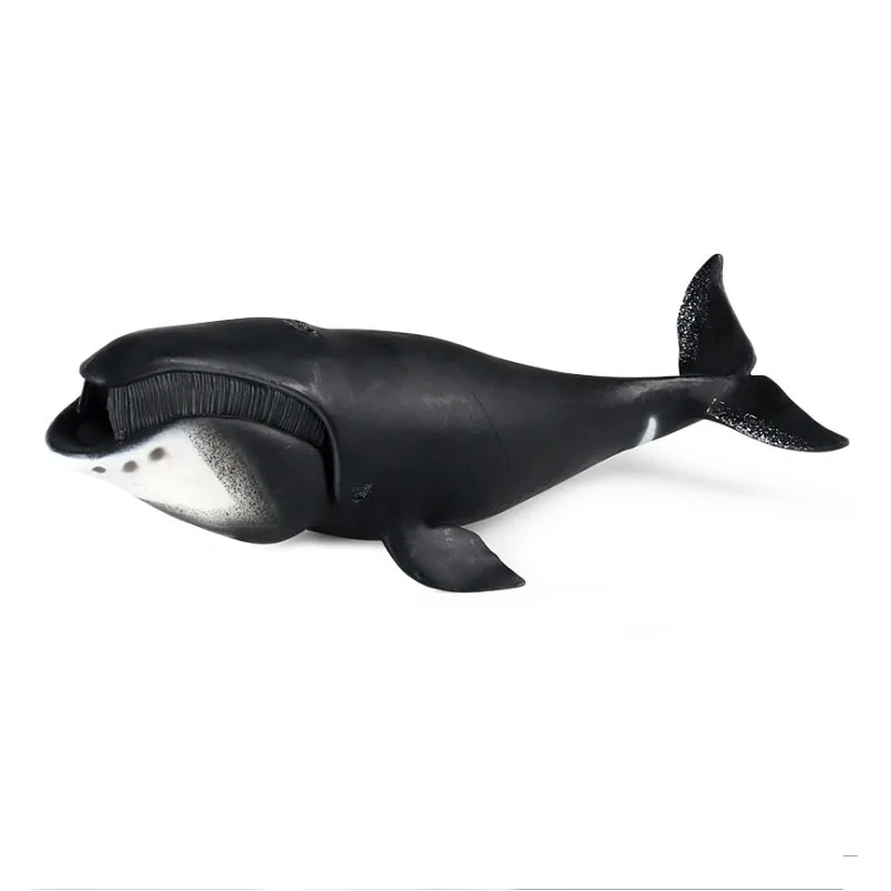 Simulazione Marine Life Model Toy Bowhead Whale Shark educazione della prima infanzia decorazione della bambola cognitiva fatta a mano per i bambini