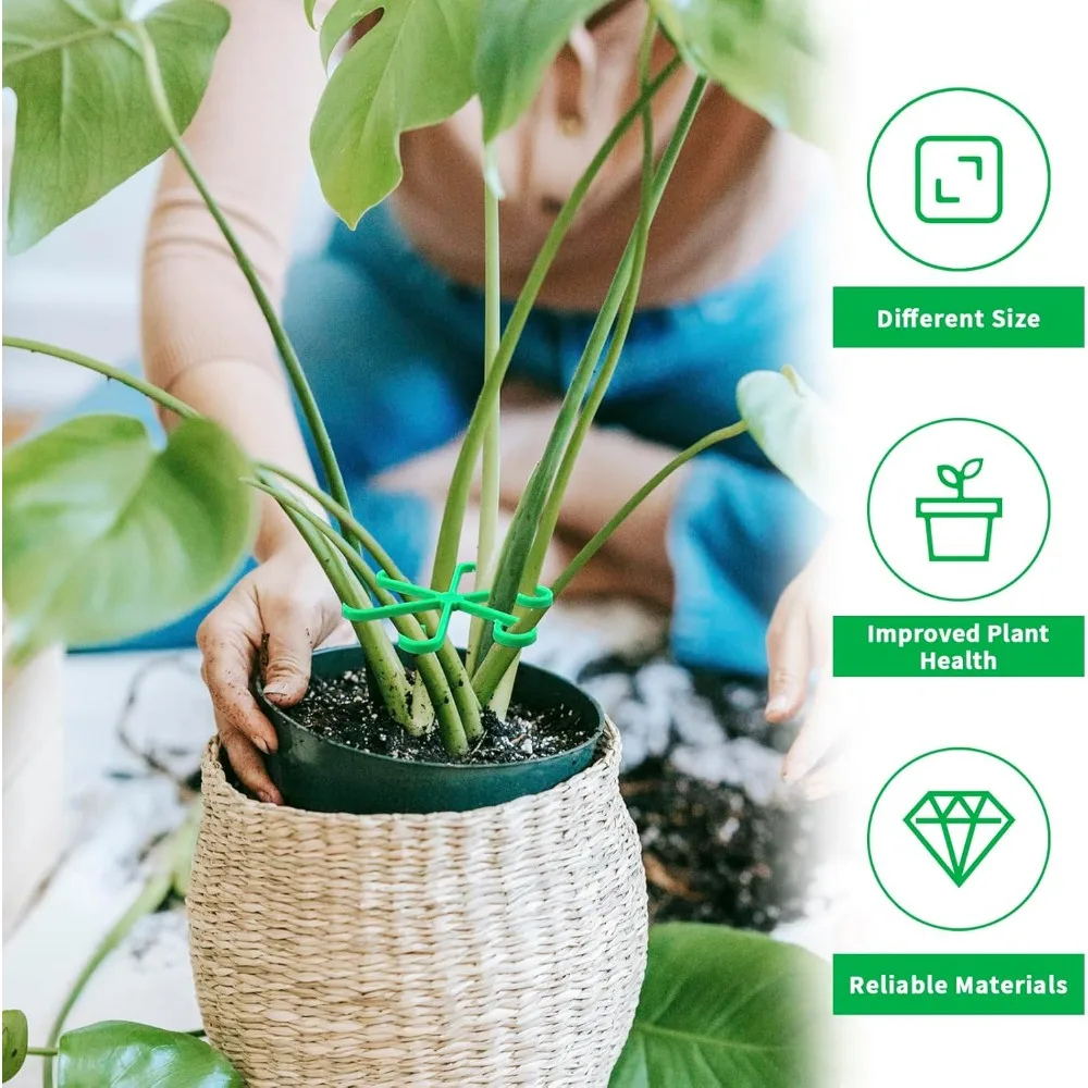 دعم النبات حصة الإطار Monstera الربيع ريشة المائية البستنة النباتات الزهور وعاء مكافحة استغلال استقرار قوي دائم