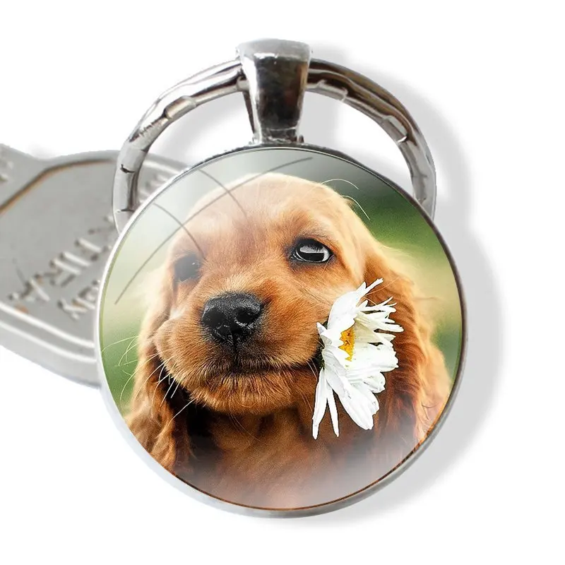 glass cabochon keychain Car key chain Charms keychains Gifts TPU Transparent Cover harper cocker spaniel hellip dog puppies Cute