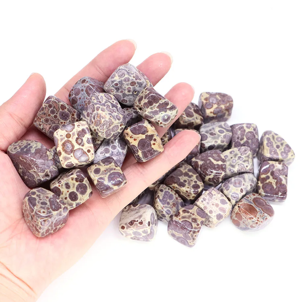 Afbeelding 5: Natuurlijke Bonte Sneeuwvlok Jasper Kristal Reiki Healing Tumbled Stone Minerale Bulk Edelstenen Home Decor Aquarium Aquarium Specimen