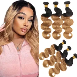 Körperwelle Menschliches Haar Bundles 12-26 Zoll Ombre Blonde Brasilianisches Reines 100% Echthaar Extensions Weave Bundles 1B/27 1PC/100G